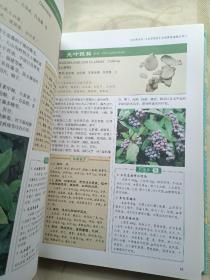 本草纲目中药养生速查全书