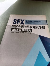 国家中职示范校建设学校推进策略研究