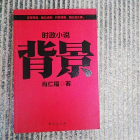 时政小说 背景