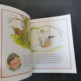 percy's friend the badger