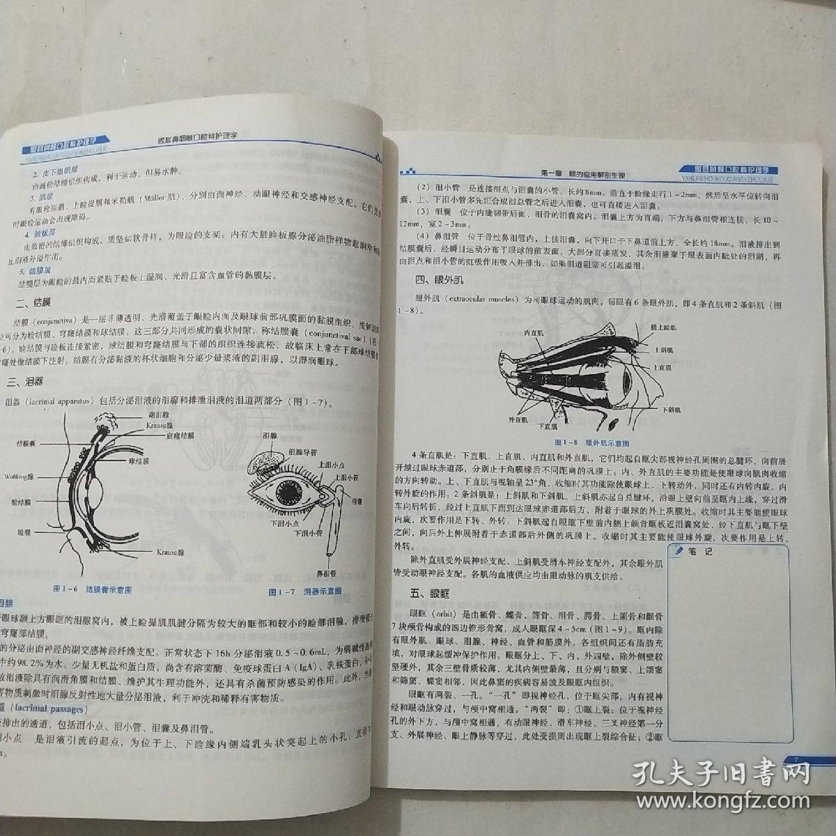 眼耳鼻喉口腔科护理学