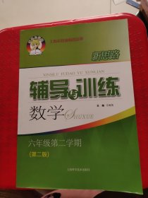 新思路辅导与训练 数学 六年级第二学期（第二版）