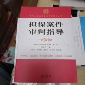 最高人民法院商事审判指导丛书：担保案件审判指导