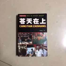 苍天在上