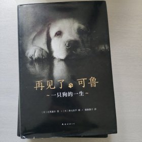 再见了，可鲁（2018版）