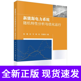 新能源电力系统随机特性分析与优化运行