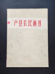 户县农民画选 画册