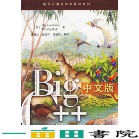 Big C++中文版