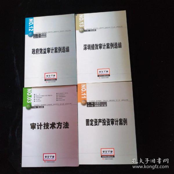 深圳绩效审计案例选编、 审计技术方法、固定资产投资审计案例、政府效益审计案例选编【4本合售】