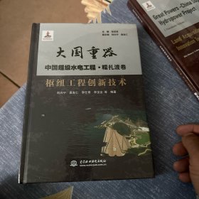 枢纽工程创新技术（大国重器   中国超级水电工程·糯扎渡卷）