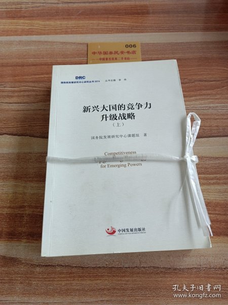 中国方略：经济金融变局与秩序重建