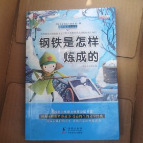太阳鸟新课标大阅读（钢铁是怎样炼成的+海底两万里）