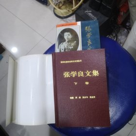 张学良文集 上下全