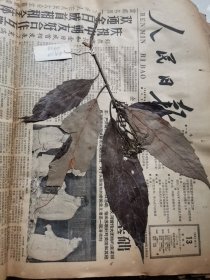 植物标本，无标本台纸.2150528-86