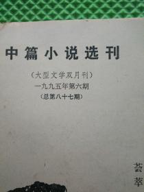 中篇小说选刊 1995年第6期