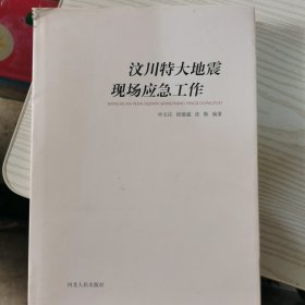 汶川特大地震现场应急工作