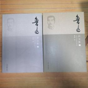 鲁迅：鲁迅杂文集上下册（全2册）