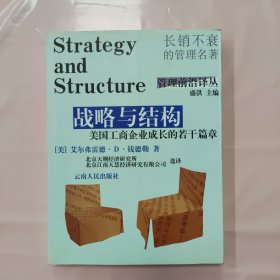 战略与结构：美国工商企业成长的若干篇章