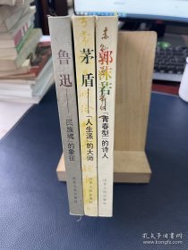 中国现代三大文豪研究丛书（民族魂的象征—鲁迅 青春型的诗人—郭沫若 人生派的大师—茅盾 精装共3卷）