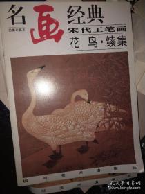 名画经典：宋代工笔画，花鸟，续集