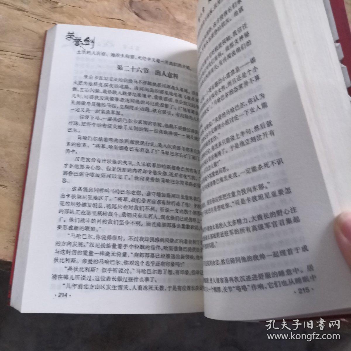 乱世之中的血泪史荣誉之剑