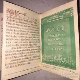 1958年湖北省黄冈市浠水六中 语文老师徐平的日记本