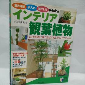 装饰室内的观赏植物 日文原版书