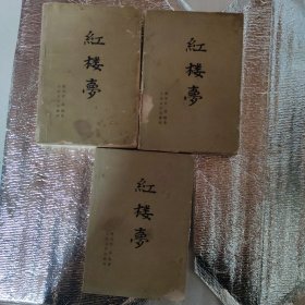 红楼梦上中下人民文学出版社