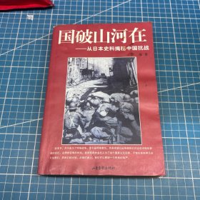 国破山河在：从日本史料揭秘中国抗战