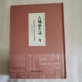 古城新生这一年