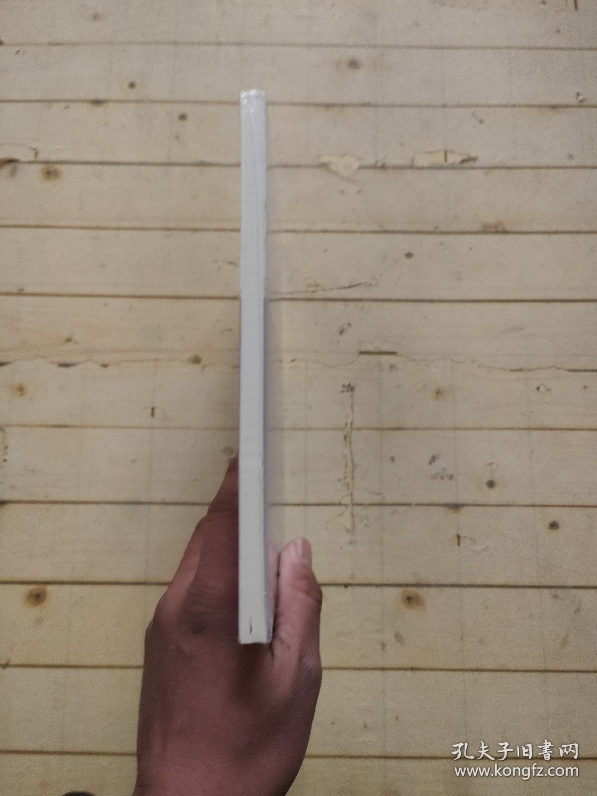 世界历史上的性别/专题文明史译丛