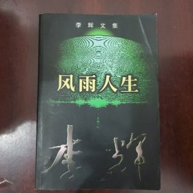 李辉：风雨人生