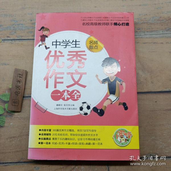 小蜜蜂·名师指点：中学生优秀作文一本全