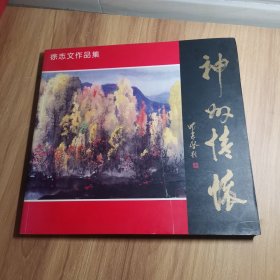 徐志文画集 神州情怀 徐志文作品集 著名画家 签赠本