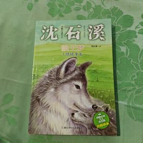动物小说大王沈石溪·注音读本：狼王梦 绝境重生