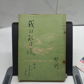 我的短诗选