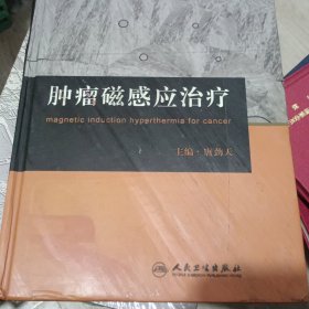 肿瘤磁感应治疗