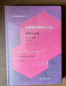 在康德与黑格尔之间：德国观念论讲座(当代德国哲学前沿丛书)