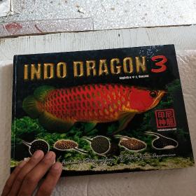 印尼神龙 3：INDO DRAGON (画册)