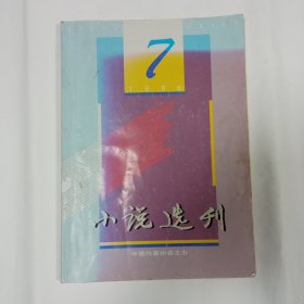 小说选刊1996年7月