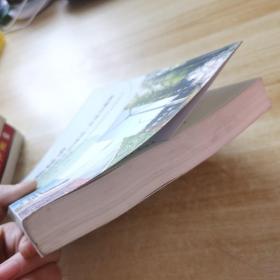 绿色经济：联合国视野中的理论、方法与案例