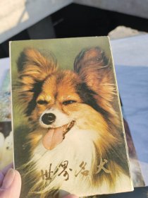 世界名犬明信片