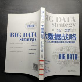 大数据战略：个人、企业、政府的思维革命与红利洼地