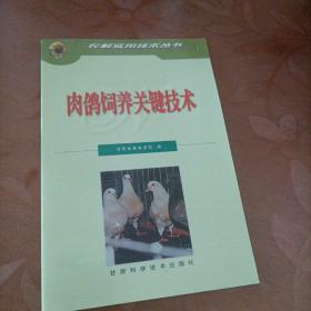 肉鸽饲养关键技术