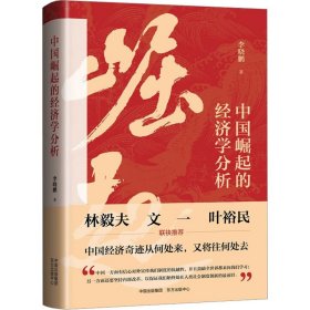 中国崛起的经济学分析