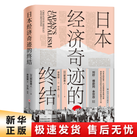 日本经济奇迹的终结(日本经济类经典著作,复盘日本经济发展路径,思索中国经济发展走向)