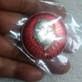 像章 13