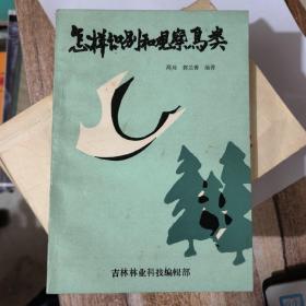 怎样识别和观察鸟类
