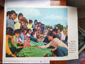 **1971年“伟大的社会主义祖国欣欣向荣”图片第16张“我国城乡市场繁荣，物家稳定”(人人佩戴毛主席像章)(不含袋子)