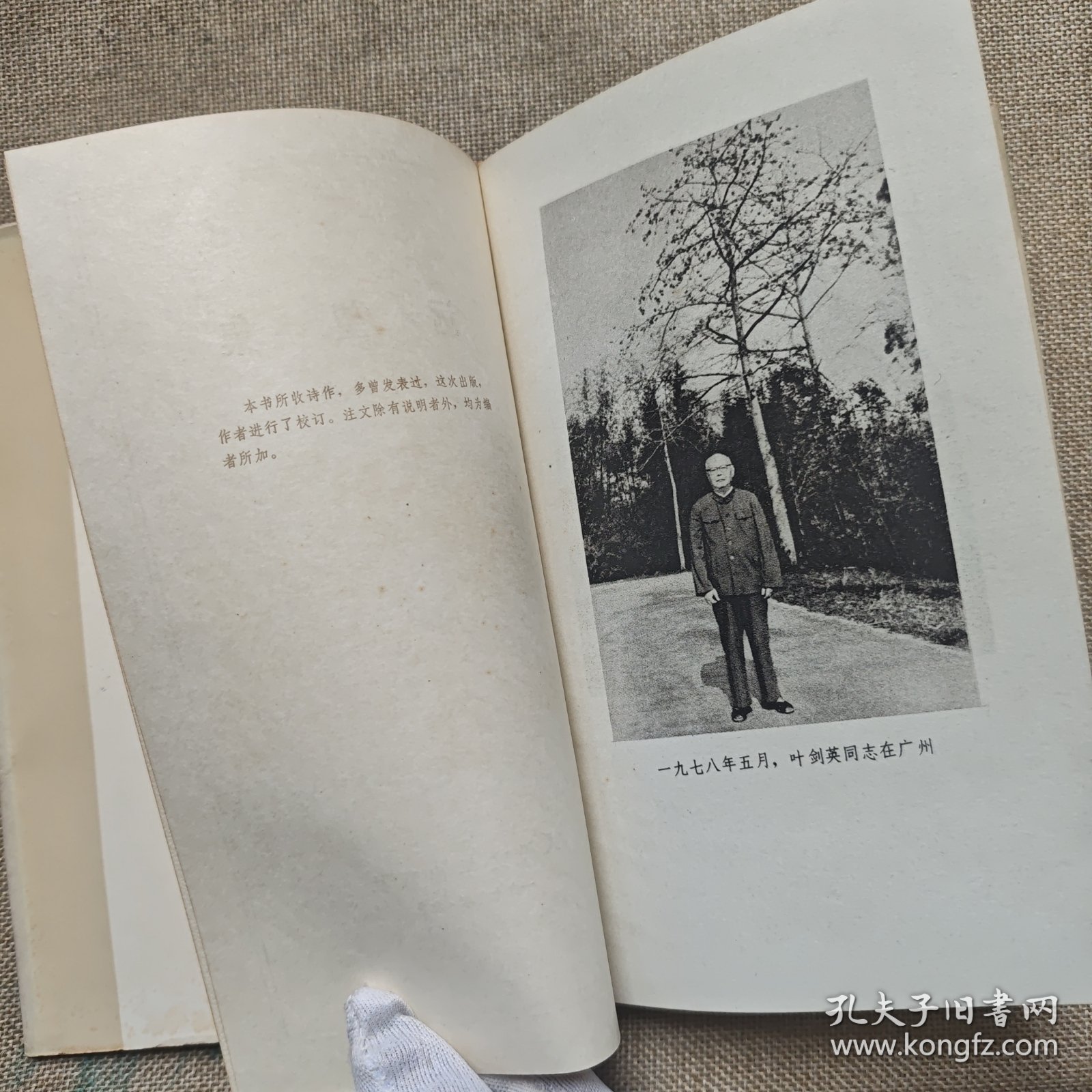 远望集